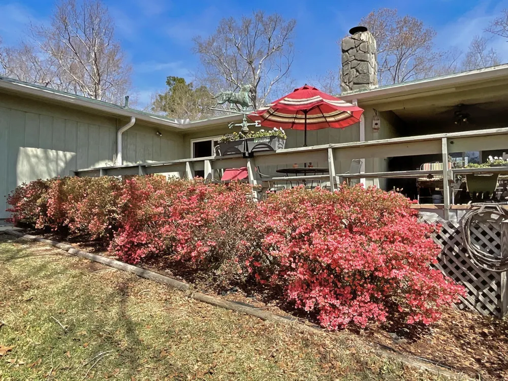 475 Douglas Drive Beech Island, SC 29842