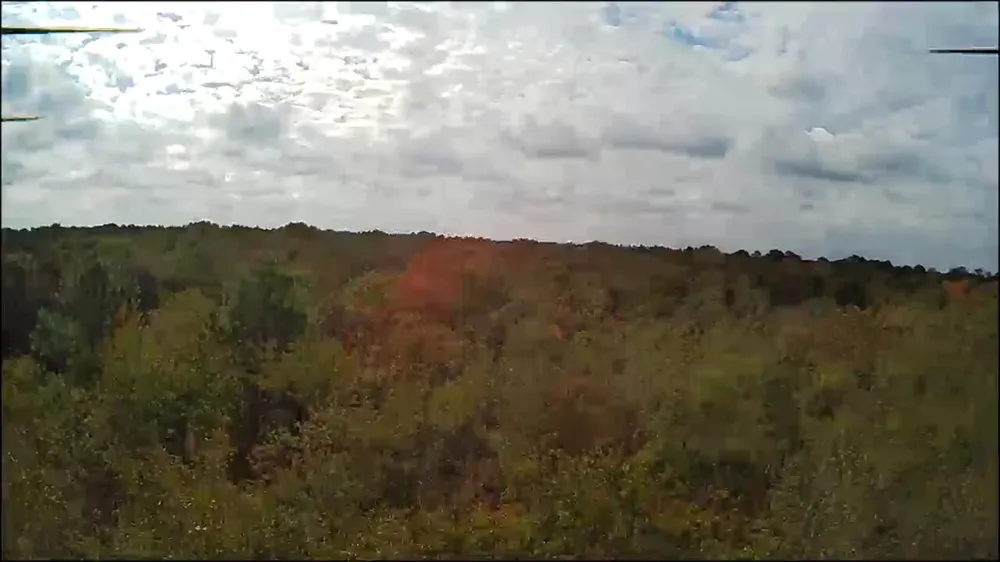 Lot 11 Highway 88 Blythe, GA 30805