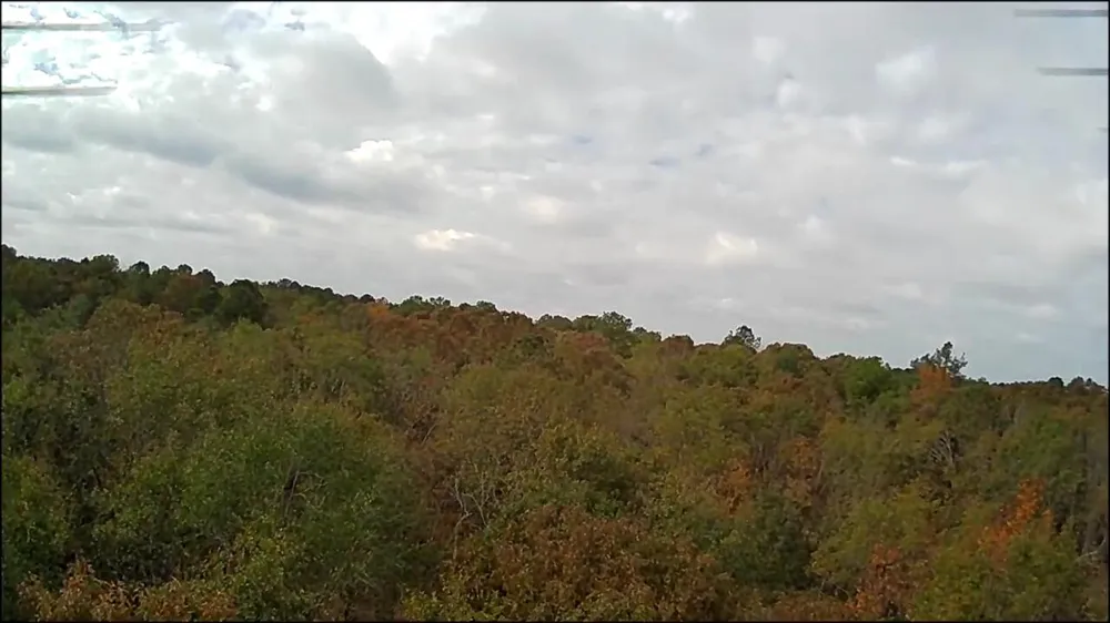 Lot 11 Highway 88 Blythe, GA 30805