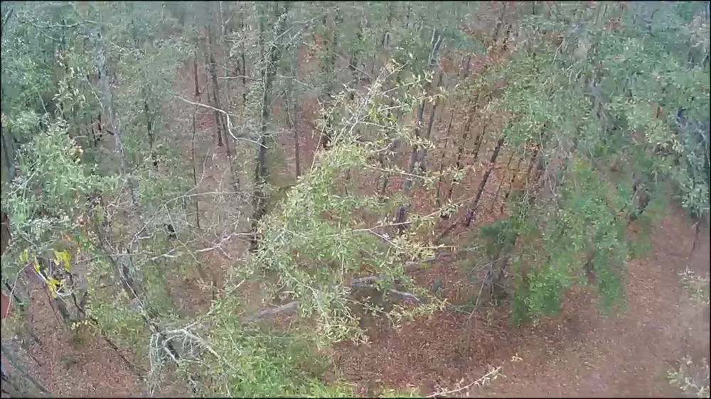 Lot 11 Highway 88 Blythe, GA 30805