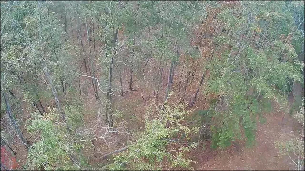 Lot 11 Highway 88 Blythe, GA 30805