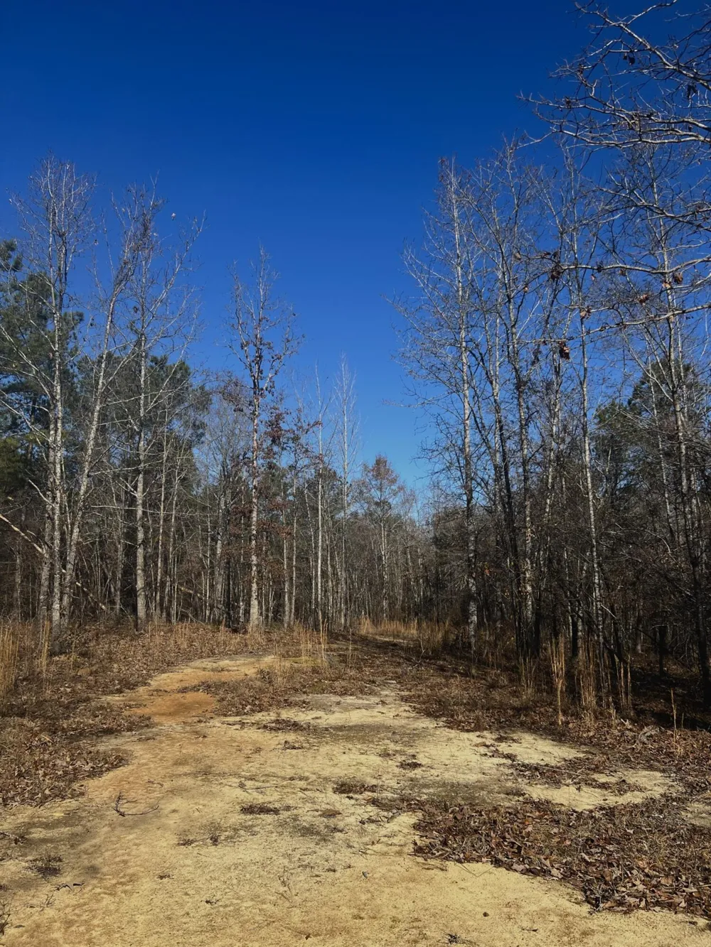 6975 Highway 80 Keysville, GA 30816