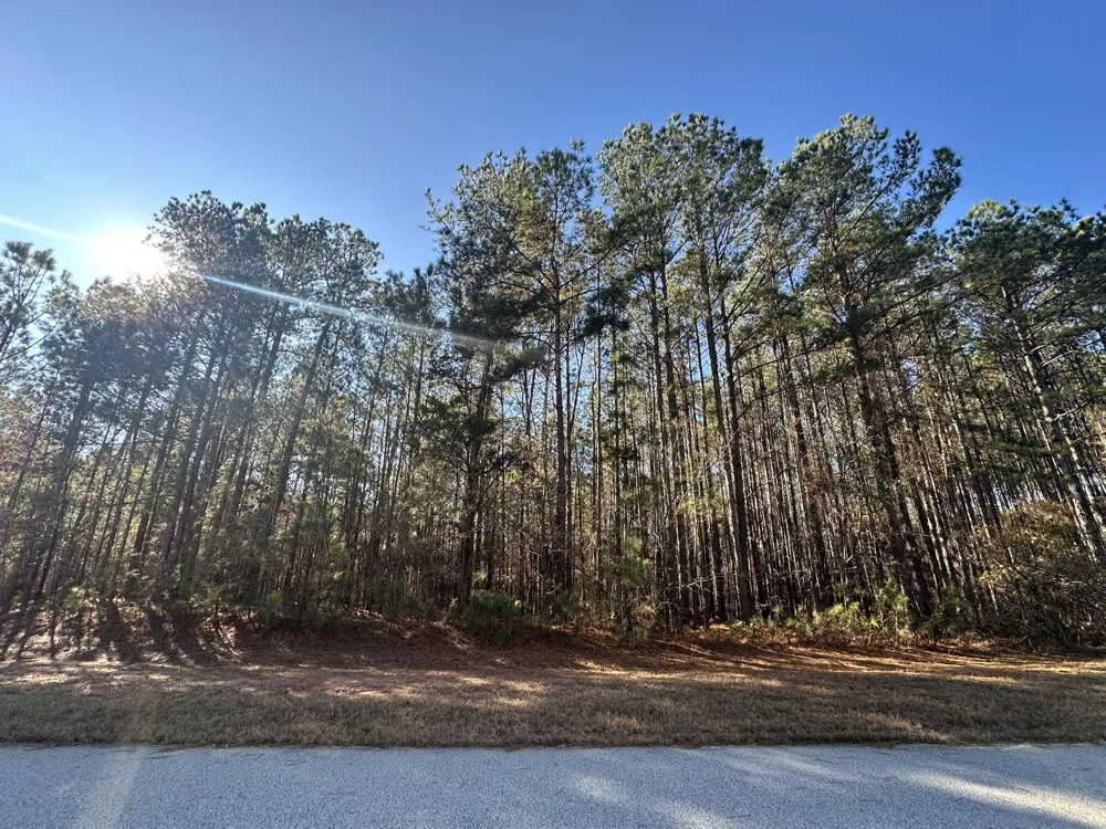 1252 Rogers Road Tignall, GA 30668