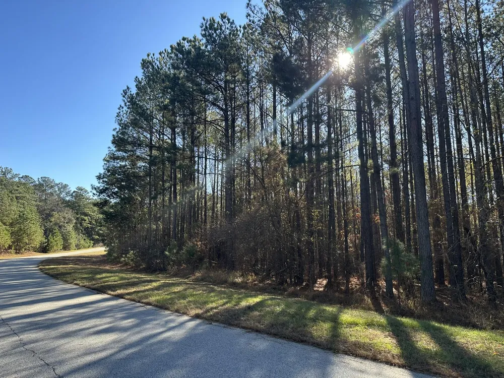 1252 Rogers Road Tignall, GA 30668