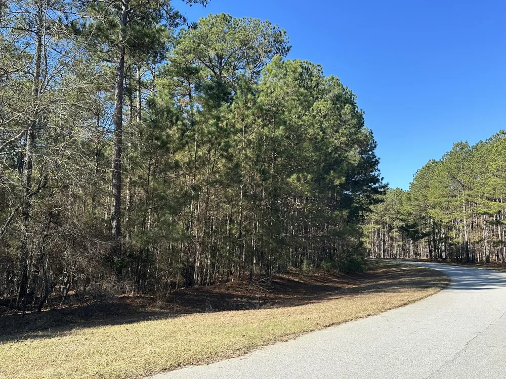1252 Rogers Road Tignall, GA 30668