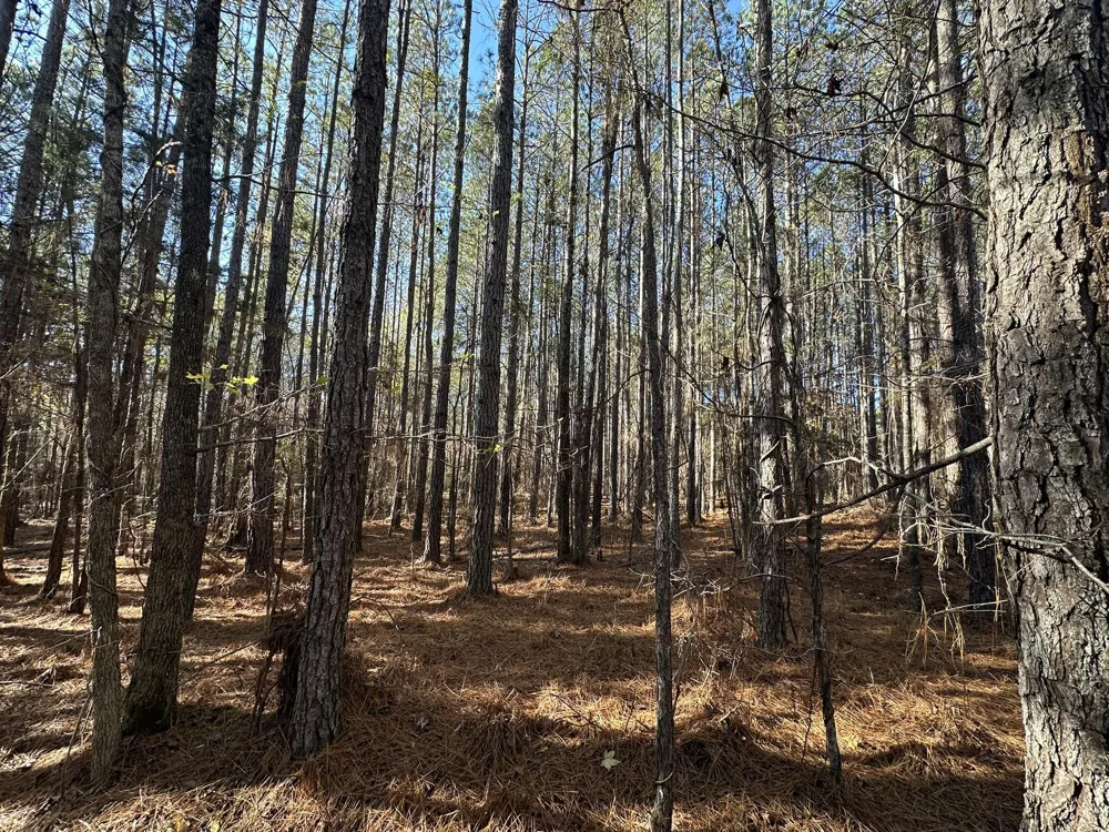 1252 Rogers Road Tignall, GA 30668