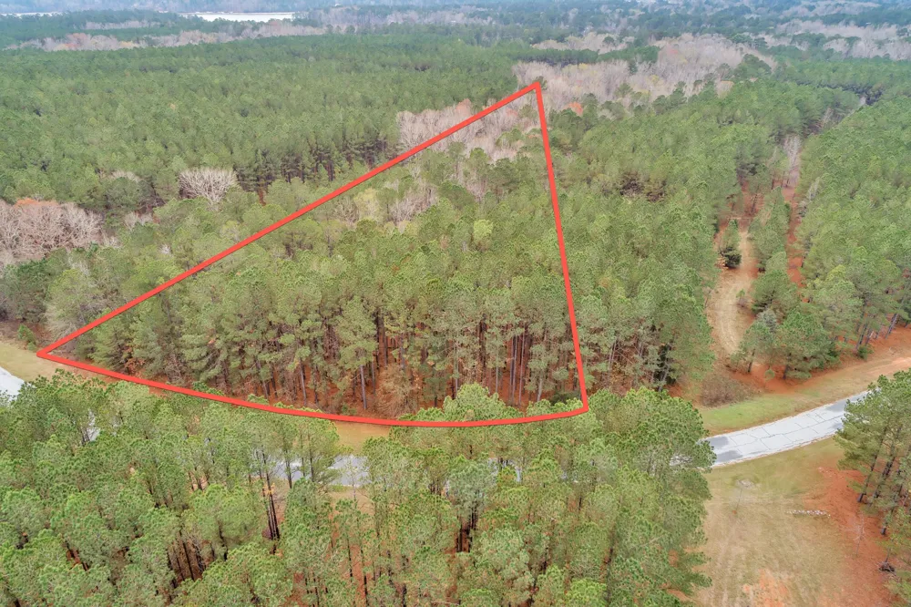 1252 Rogers Road Tignall, GA 30668