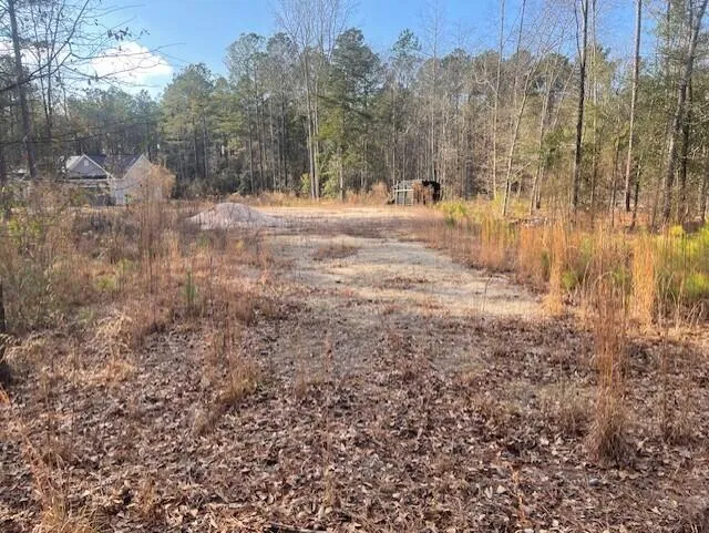 Lot 32 Stapleton Acres Drive Stapleton, GA 30823
