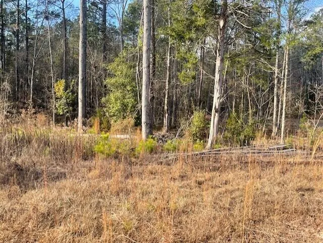 Lot 32 Stapleton Acres Drive Stapleton, GA 30823