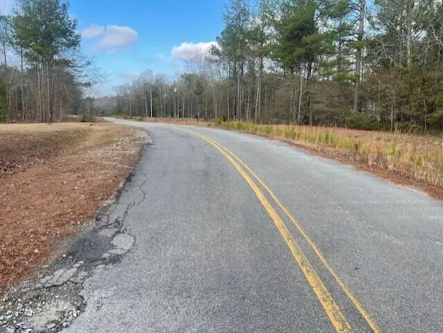 Lot 32 Stapleton Acres Drive Stapleton, GA 30823