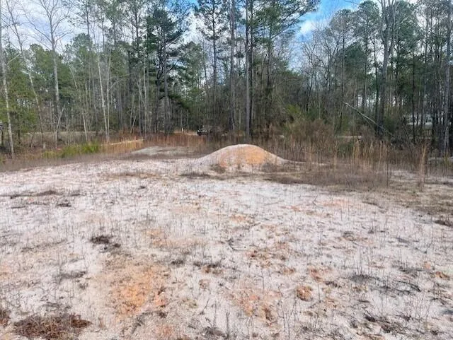 Lot 32 Stapleton Acres Drive Stapleton, GA 30823