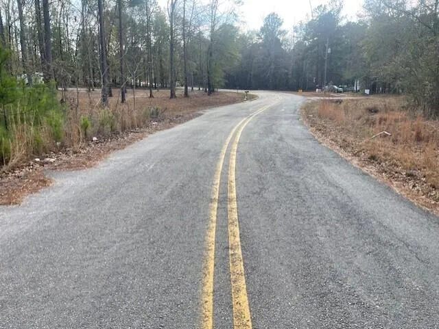 Lot 32 Stapleton Acres Drive Stapleton, GA 30823