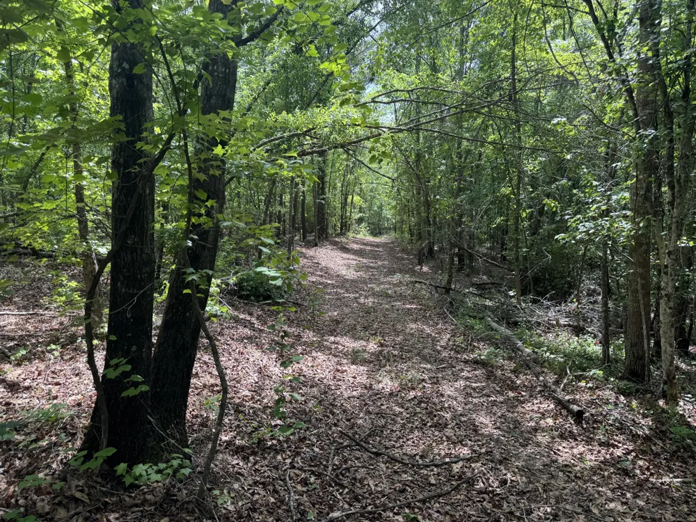 745 Wright Allen Road Blythe, GA 30805