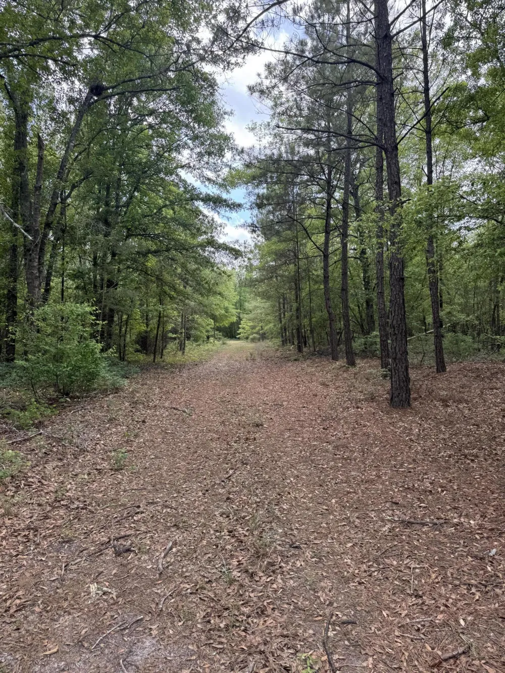 745 Wright Allen Road Blythe, GA 30805