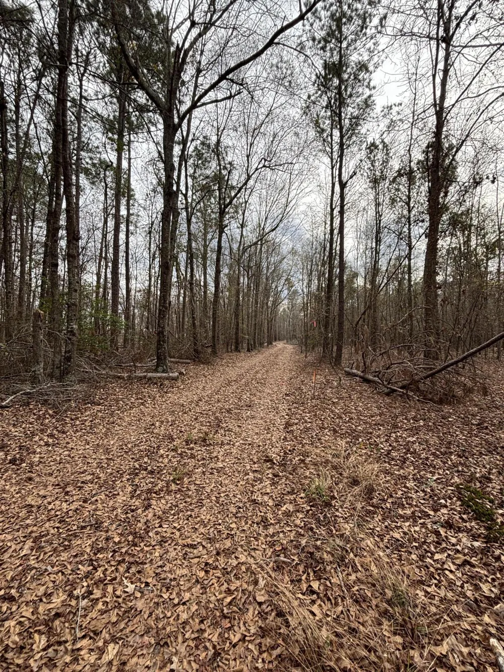 745 Wright Allen Road Blythe, GA 30805