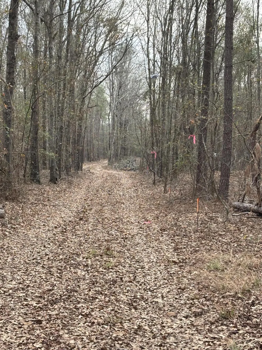 745 Wright Allen Road Blythe, GA 30805