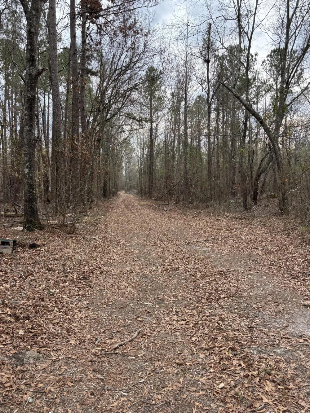 745 Wright Allen Road Blythe, GA 30805
