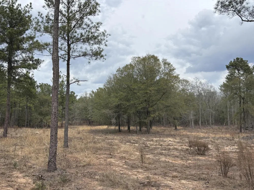 745 Wright Allen Road Blythe, GA 30805