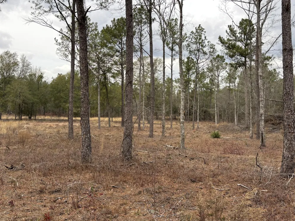 745 Wright Allen Road Blythe, GA 30805