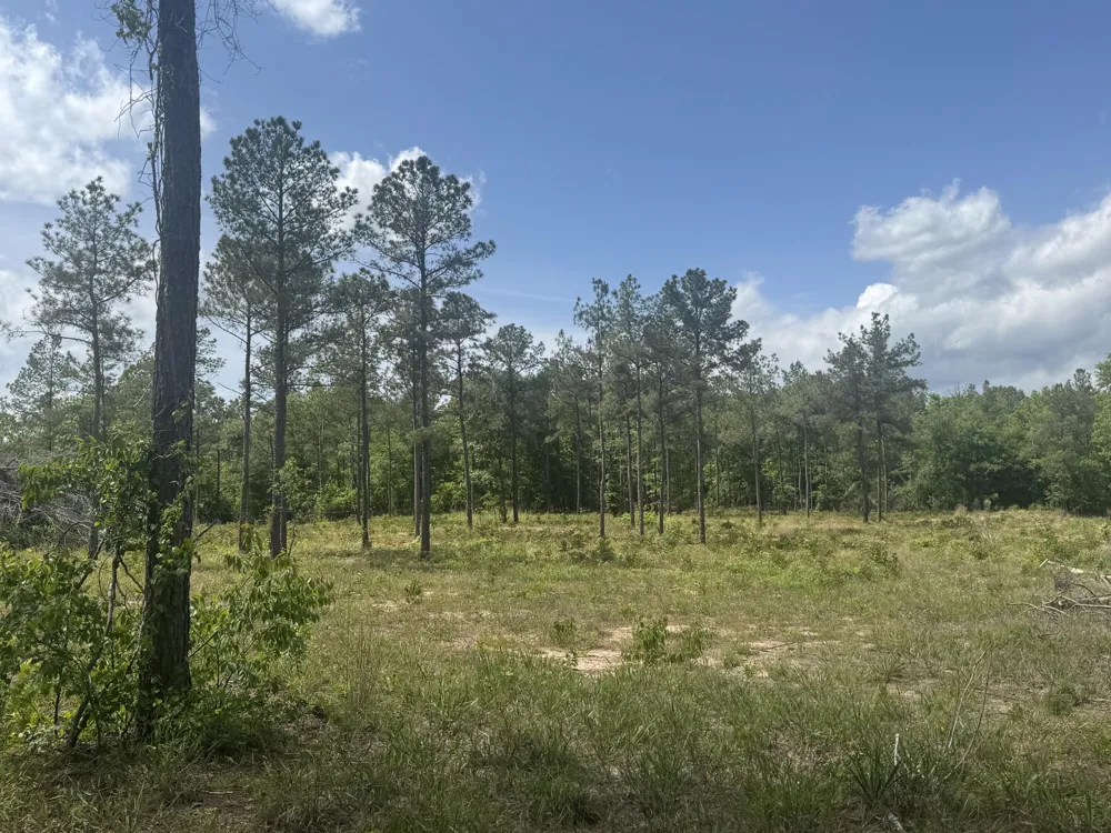 745 Wright Allen Road Blythe, GA 30805