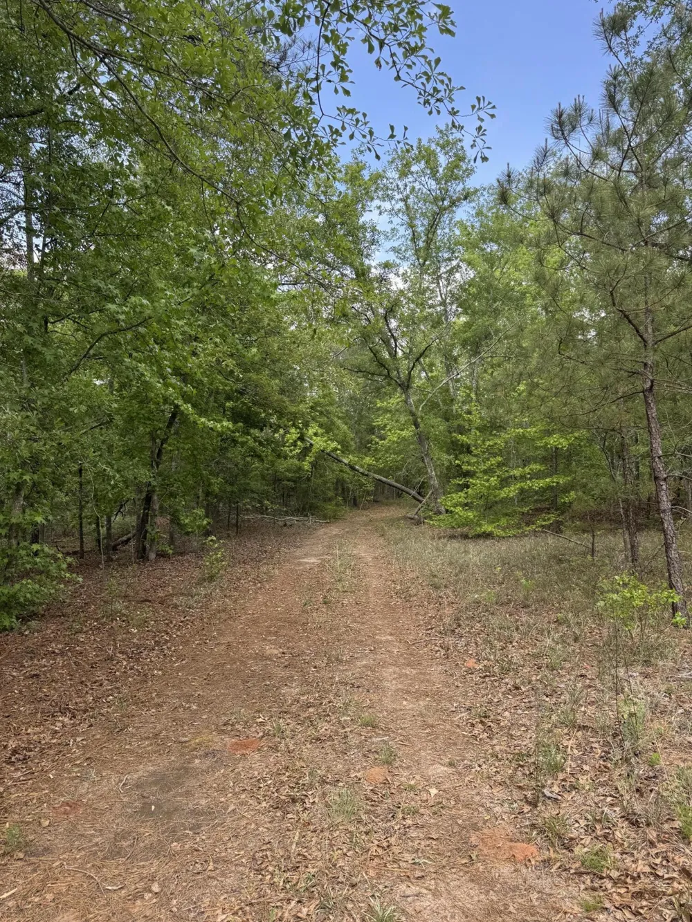 745 Wright Allen Road Blythe, GA 30805