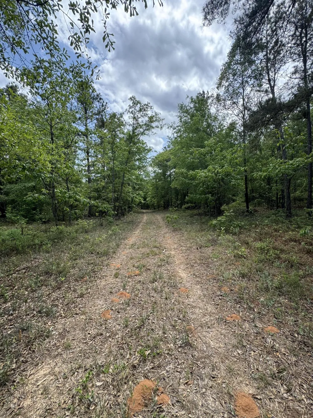745 Wright Allen Road Blythe, GA 30805