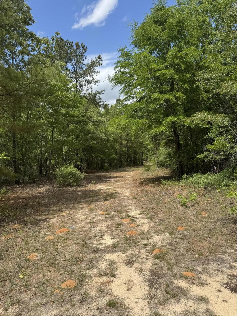 745 Wright Allen Road Blythe, GA 30805