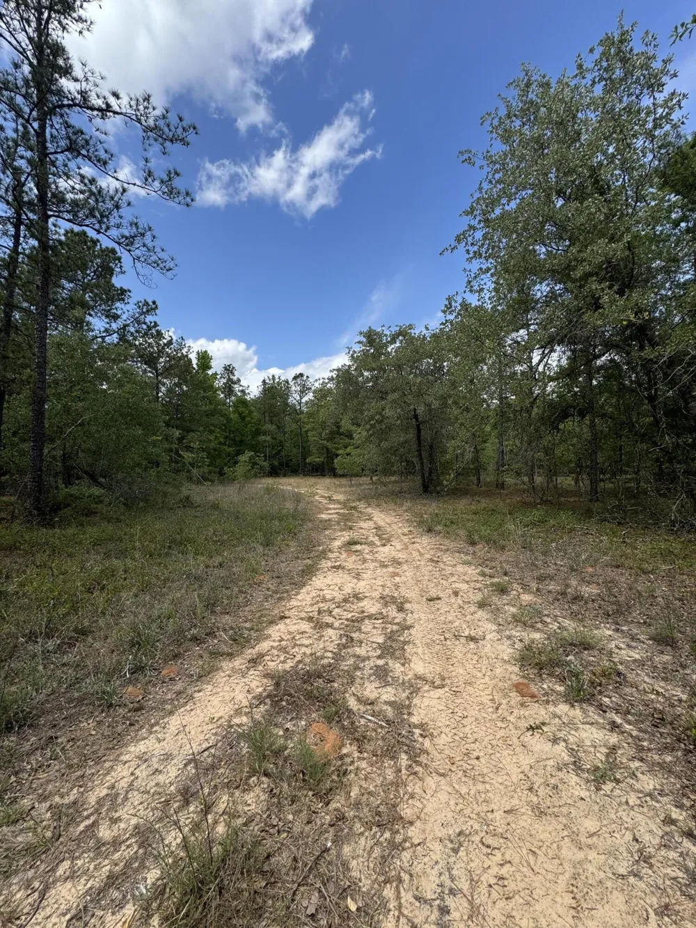 745 Wright Allen Road Blythe, GA 30805