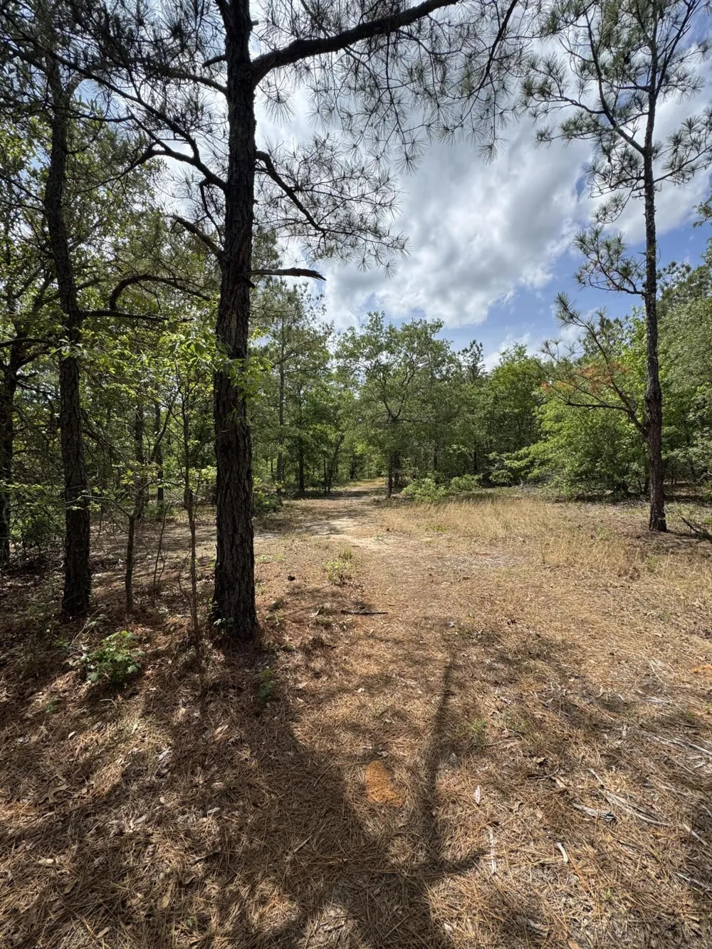 745 Wright Allen Road Blythe, GA 30805