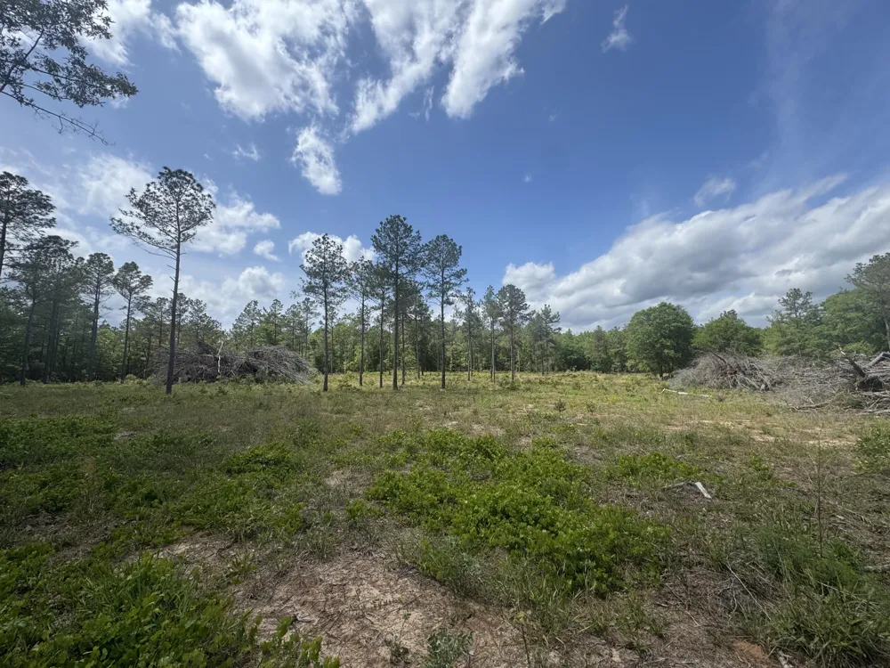 745 Wright Allen Road Blythe, GA 30805