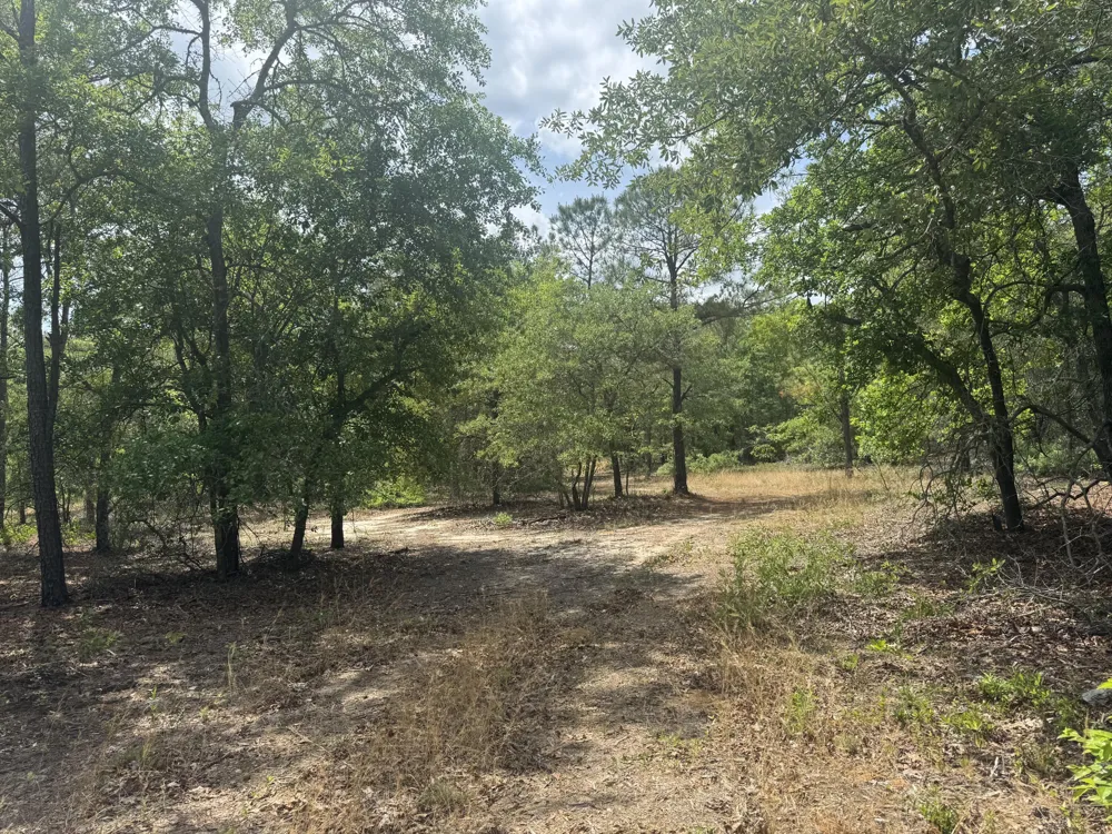 745 Wright Allen Road Blythe, GA 30805