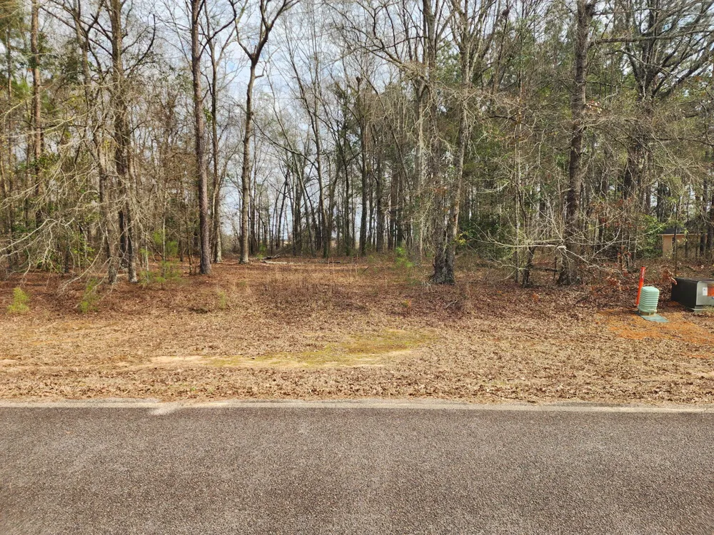 0 Cason Creek Subd Louisville, GA 30434