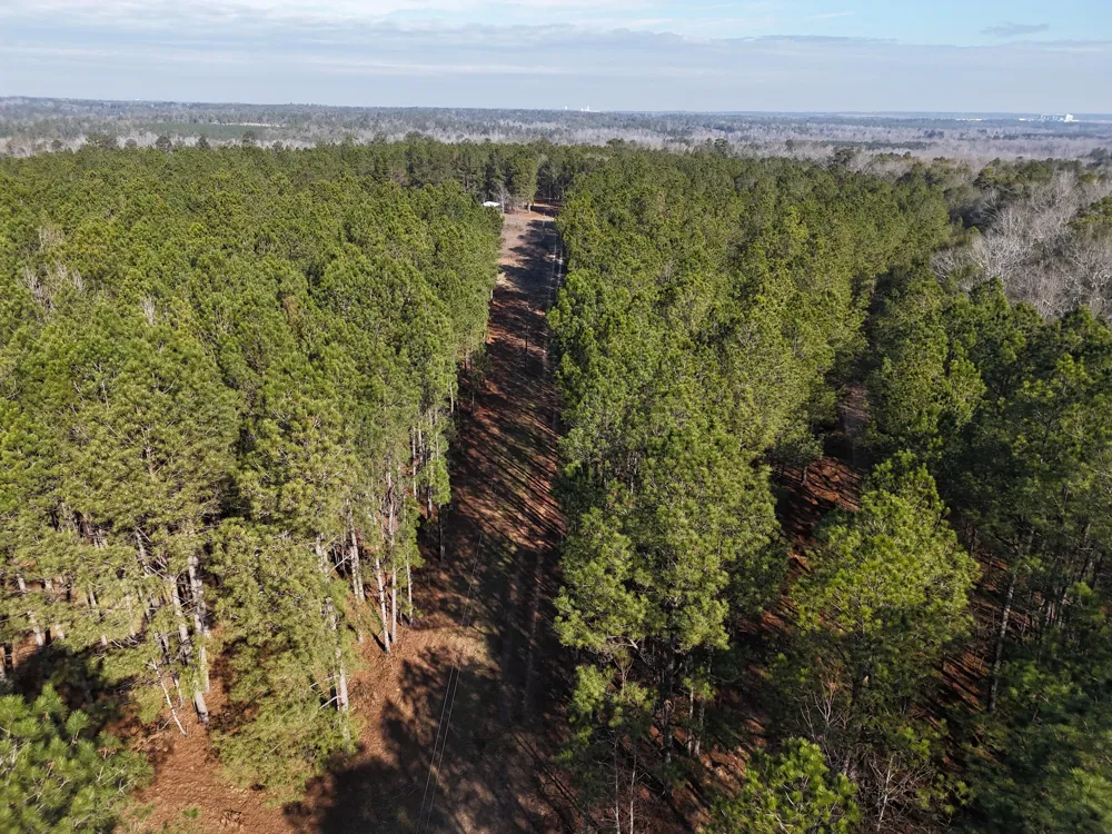0 Ponderosa Road Waynesboro, GA 30830