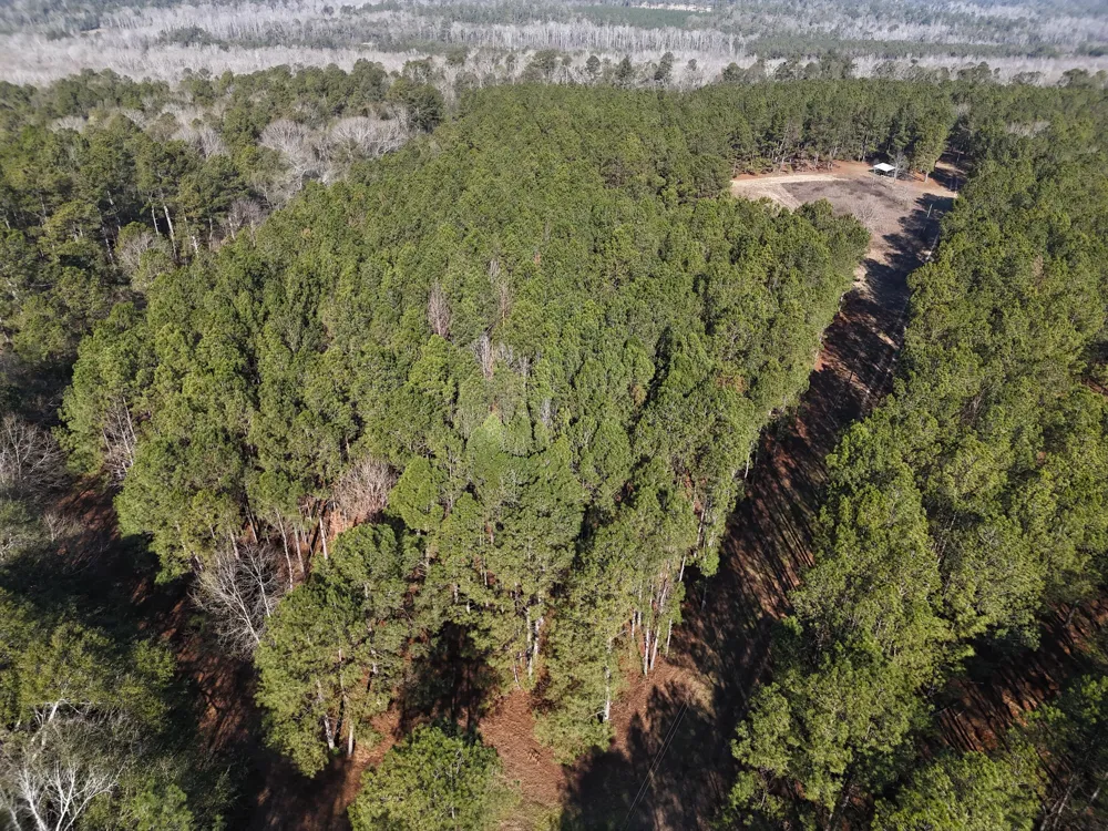 0 Ponderosa Road Waynesboro, GA 30830