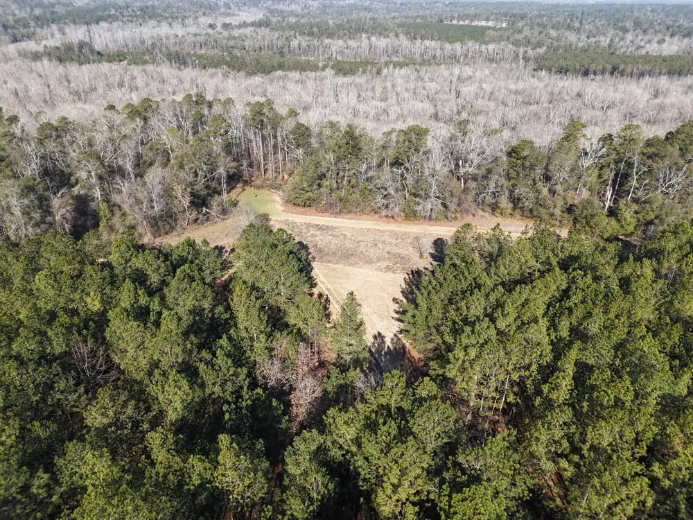0 Ponderosa Road Waynesboro, GA 30830