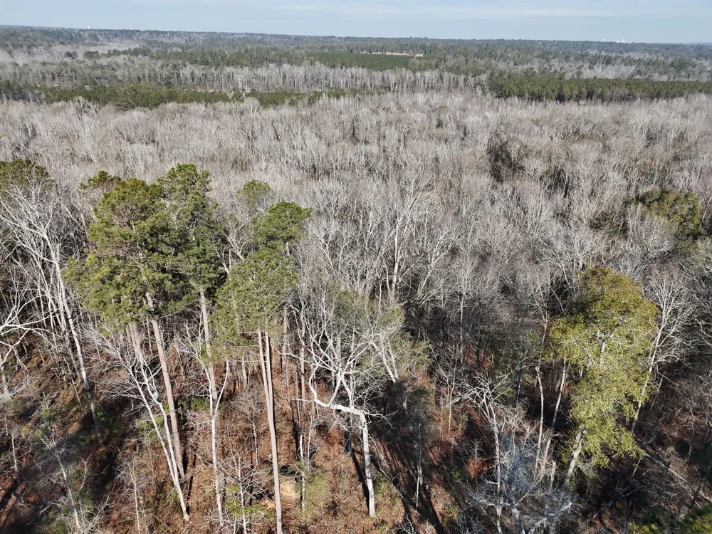 0 Ponderosa Road Waynesboro, GA 30830