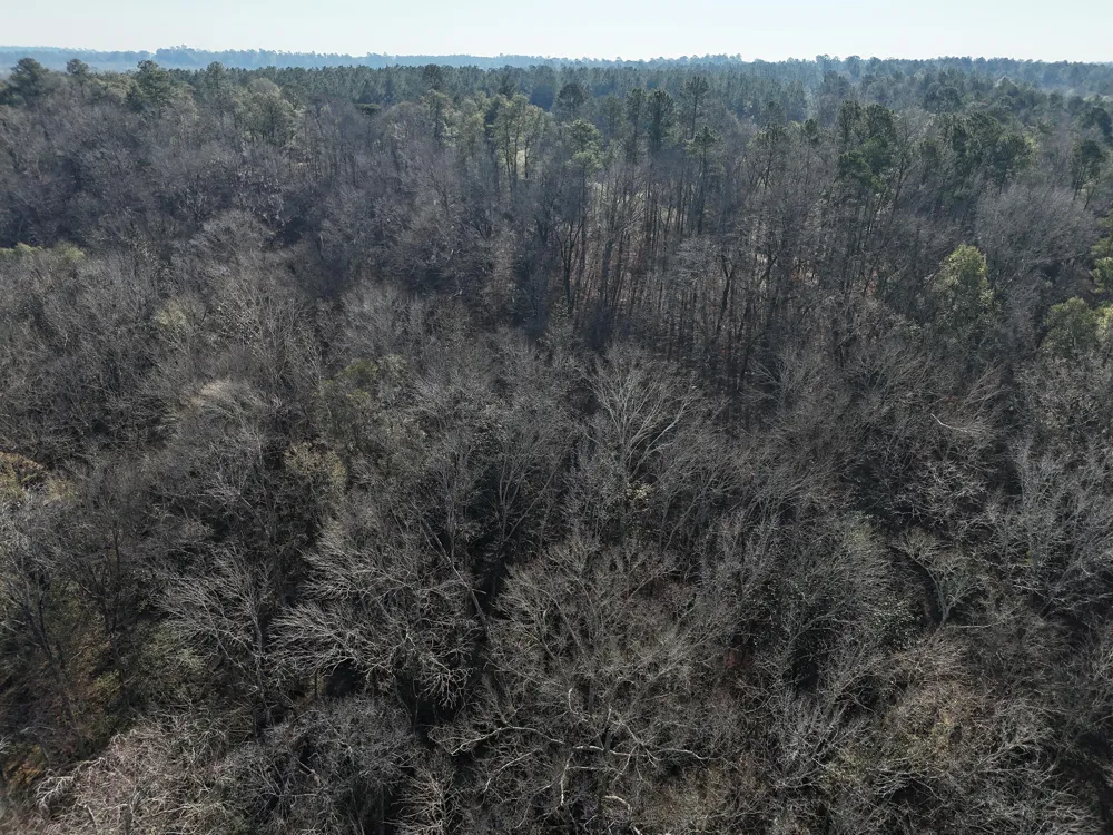 0 Ponderosa Road Waynesboro, GA 30830