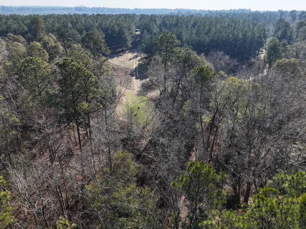 0 Ponderosa Road Waynesboro, GA 30830