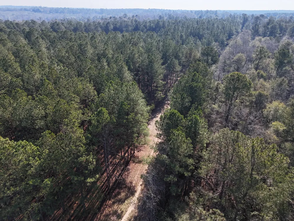 0 Ponderosa Road Waynesboro, GA 30830