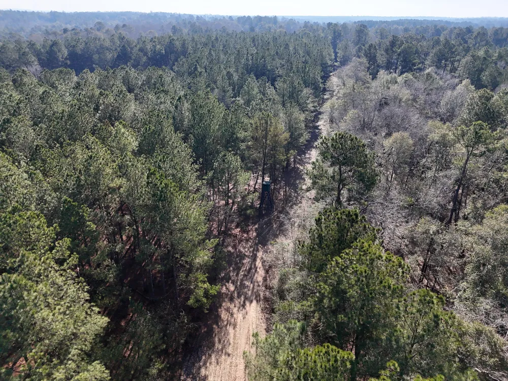 0 Ponderosa Road Waynesboro, GA 30830