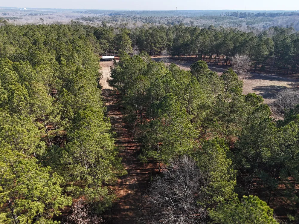 0 Ponderosa Road Waynesboro, GA 30830