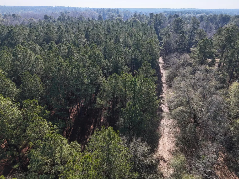 0 Ponderosa Road Waynesboro, GA 30830