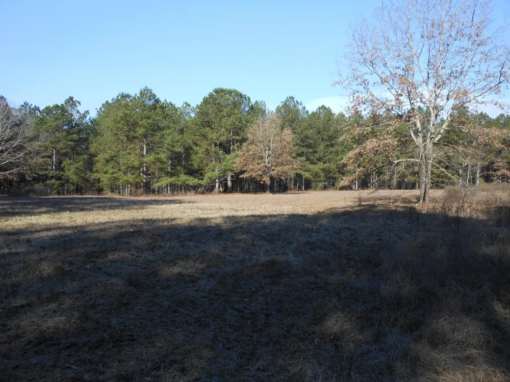 0 Ponderosa Road Waynesboro, GA 30830
