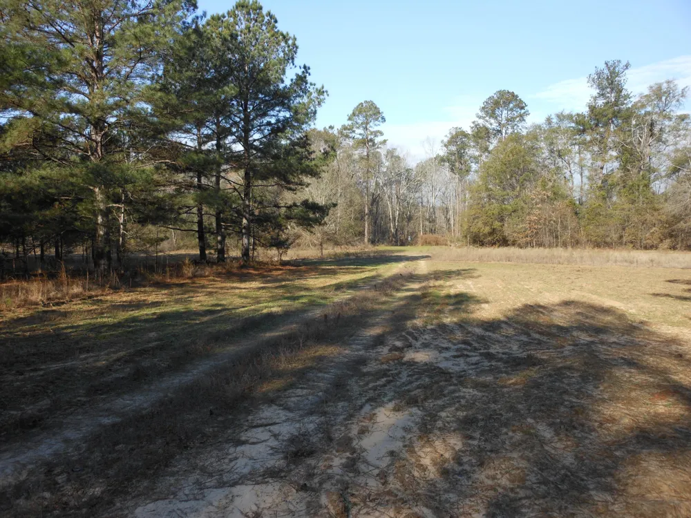 0 Ponderosa Road Waynesboro, GA 30830