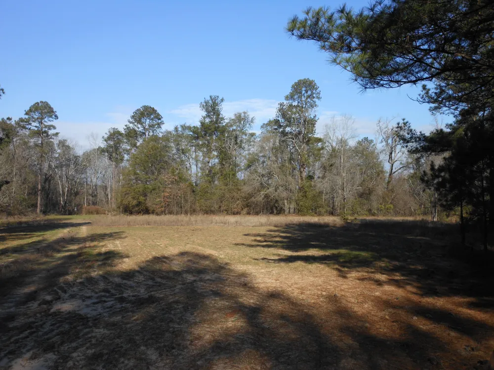 0 Ponderosa Road Waynesboro, GA 30830