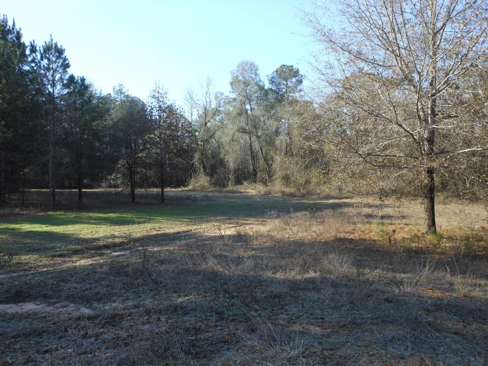 0 Ponderosa Road Waynesboro, GA 30830