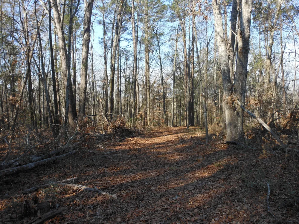 0 Ponderosa Road Waynesboro, GA 30830