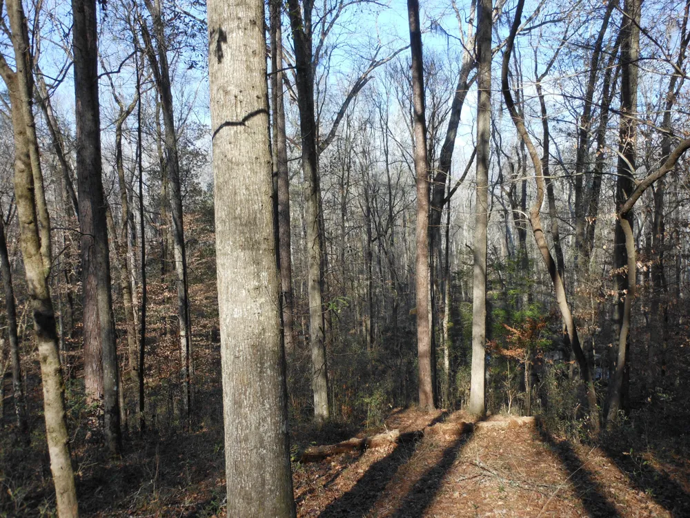 0 Ponderosa Road Waynesboro, GA 30830