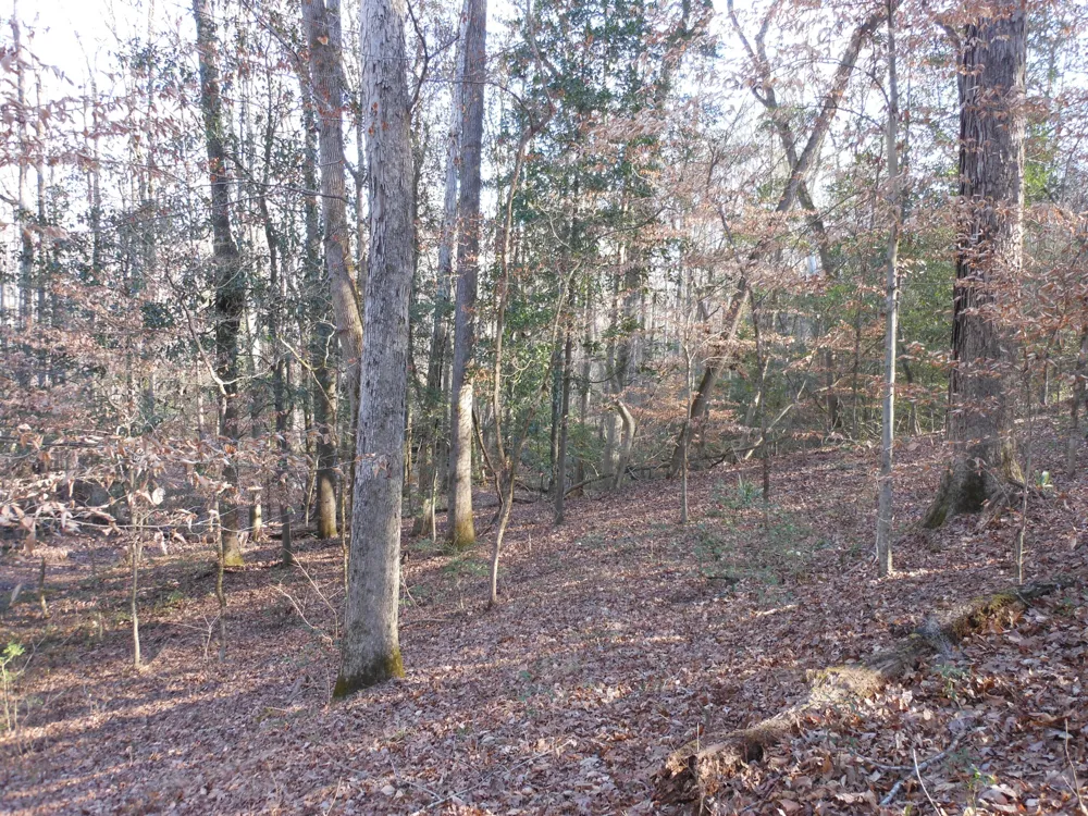 0 Ponderosa Road Waynesboro, GA 30830