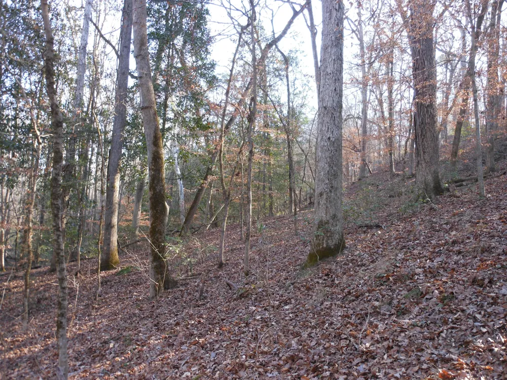 0 Ponderosa Road Waynesboro, GA 30830